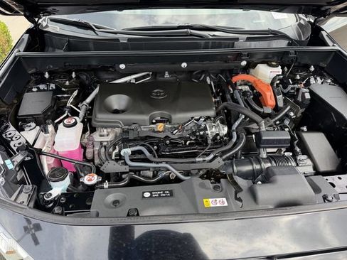 Certified 2025 Toyota RAV4 LE image 24