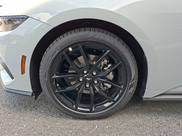 New 2026 Ford Mustang Coupe w/ Mustang Nite Pony Package RWD image 10