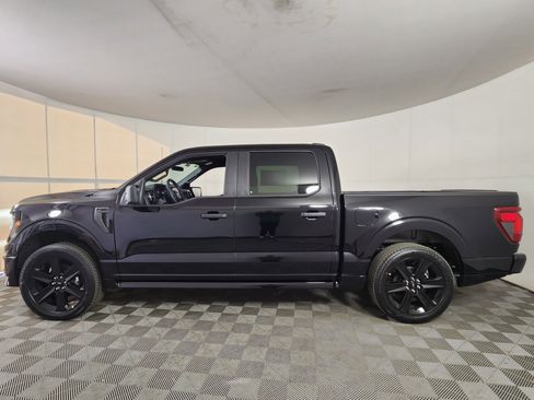 New 2025 Ford F150 STX w/ LOBO Package image 4
