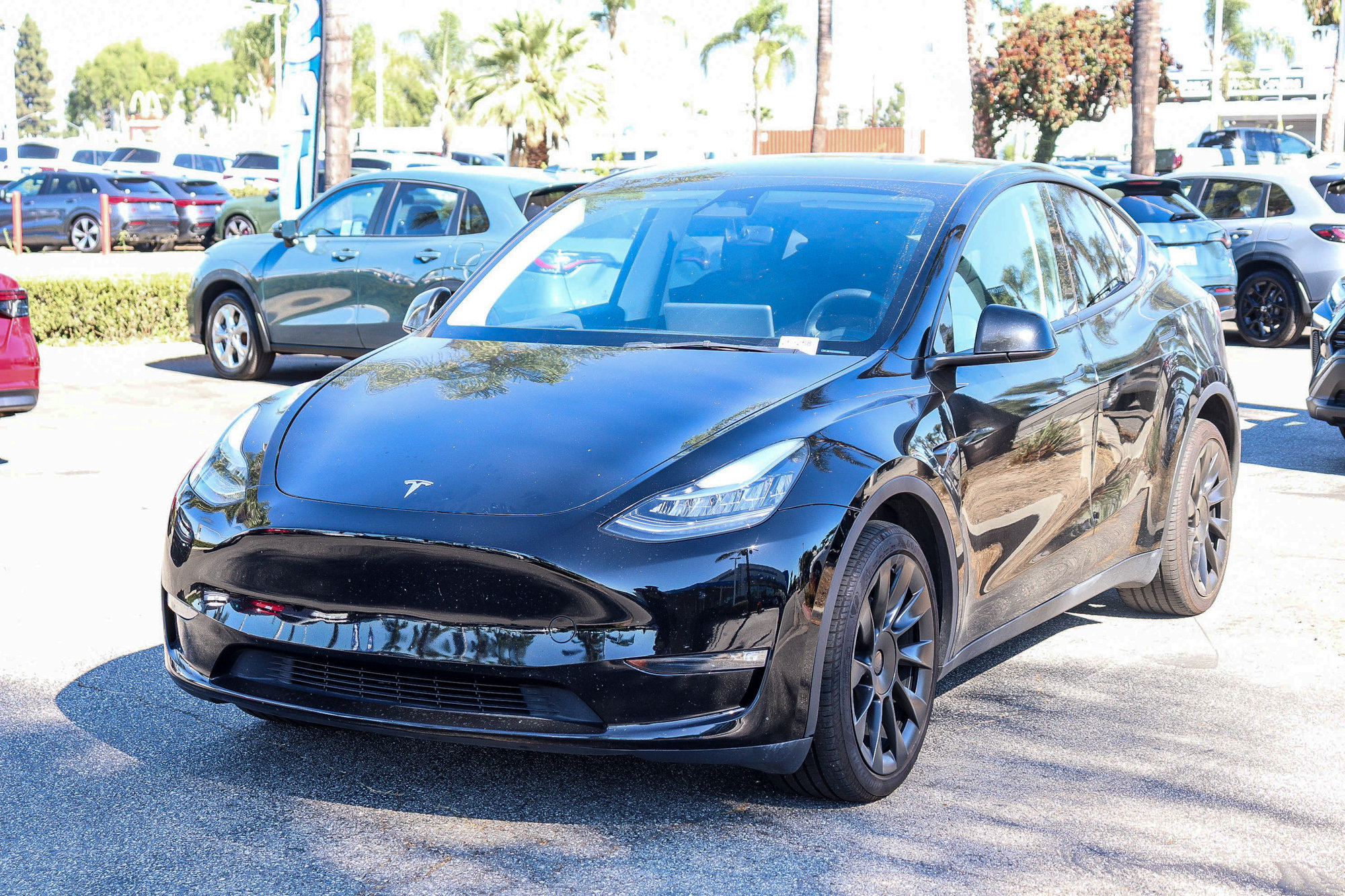 Used 2023 Tesla Model Y Long Range AWD/4WD image 3