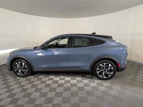 New 2025 Ford F150 XLT w/ Equipment Group 303A High image 19