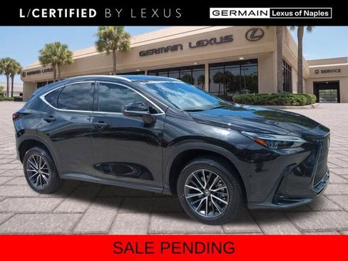 Certified 2024 Lexus NX 350h AWD w/ Vision Package image 1