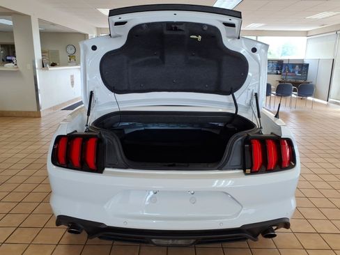 Used 2023 Ford Mustang Premium w/ Equipment Group 201A RWD image 10