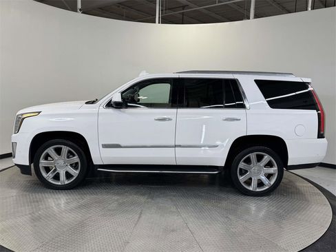 Used 2019 Cadillac Escalade Luxury image 4