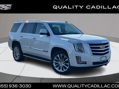 Used 2020 Cadillac Escalade Luxury AWD/4WD image 1
