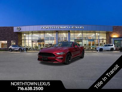 Used 2019 Ford Mustang Coupe w/ Equipment Group 101A