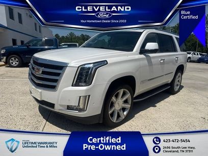 Used 2019 Cadillac Escalade Luxury