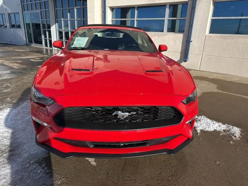 Used 2019 Ford Mustang Premium image 6