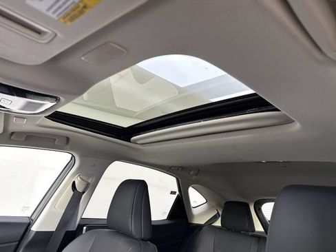 Certified 2025 Lexus NX 350 AWD w/ Cold Area Package image 21
