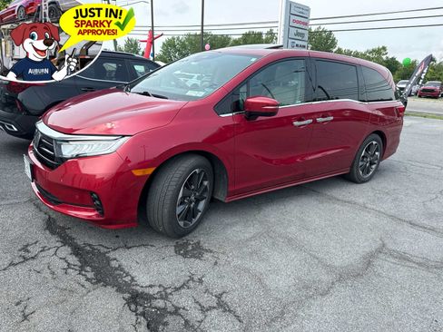 Used 2024 Honda Odyssey Elite image 1