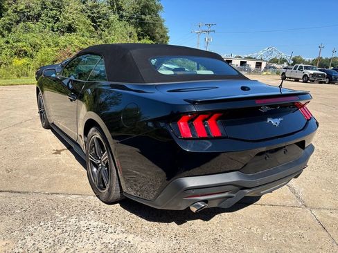 Used 2024 Ford Mustang Premium RWD image 5