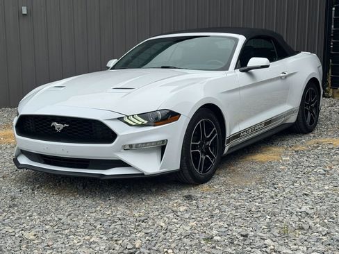 Used 2018 Ford Mustang Premium RWD image 1