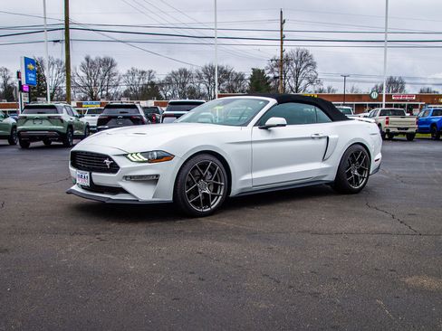 Used 2019 Ford Mustang GT Premium w/ Equipment Group 401A image 3