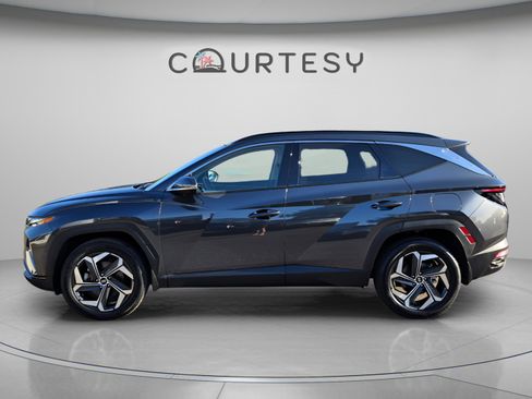 Certified 2024 Hyundai Tucson Limited AWD/4WD image 2