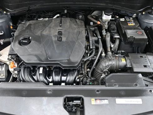 Used 2024 Kia Sportage LX image 14