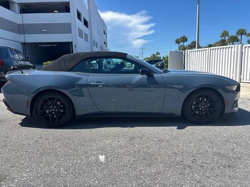 Used 2025 Ford Mustang Premium w/ Mustang Nite Pony Package RWD image 2