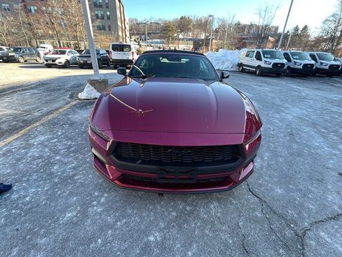 Used 2025 Ford Mustang Premium w/ Mustang Nite Pony Package image 2