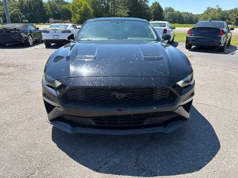 Used 2019 Ford Mustang Coupe w/ Black Accent Package RWD image 2