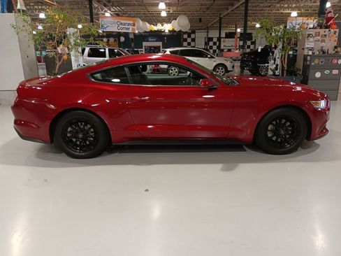 Used 2015 Ford Mustang Premium w/ Equipment Group 201A image 5