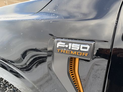 New 2025 Ford F150 Tremor w/ Equipment Group 402A High image 10