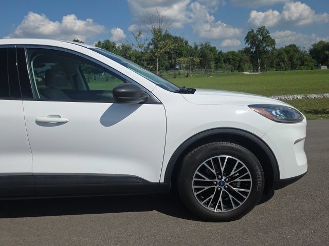 Used 2022 Ford Escape SE FWD image 4
