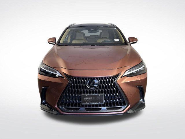 Certified 2025 Lexus NX 350h AWD w/ Rear Seat Package image 28
