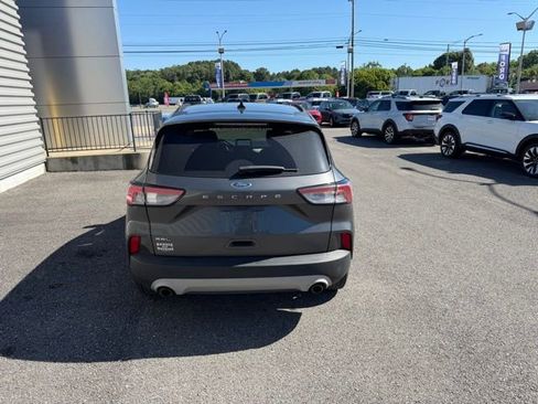 Used 2020 Ford Escape SEL FWD image 2