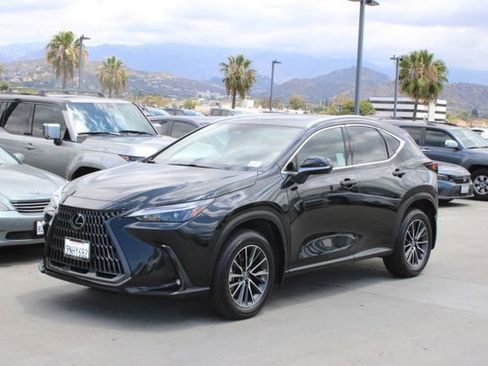 Certified 2025 Lexus NX 350h AWD w/ Cold Area Package image 3
