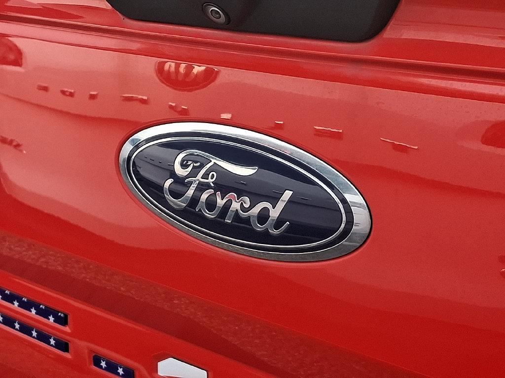 Used 2019 Ford F150 XL w/ Equipment Group 101A Mid AWD/4WD image 9