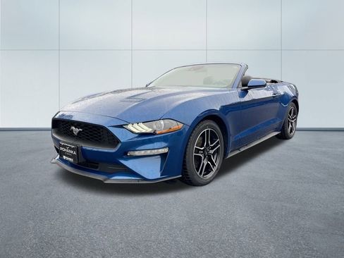Used 2023 Ford Mustang Premium image 8