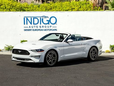 Used 2019 Ford Mustang Premium RWD image 2