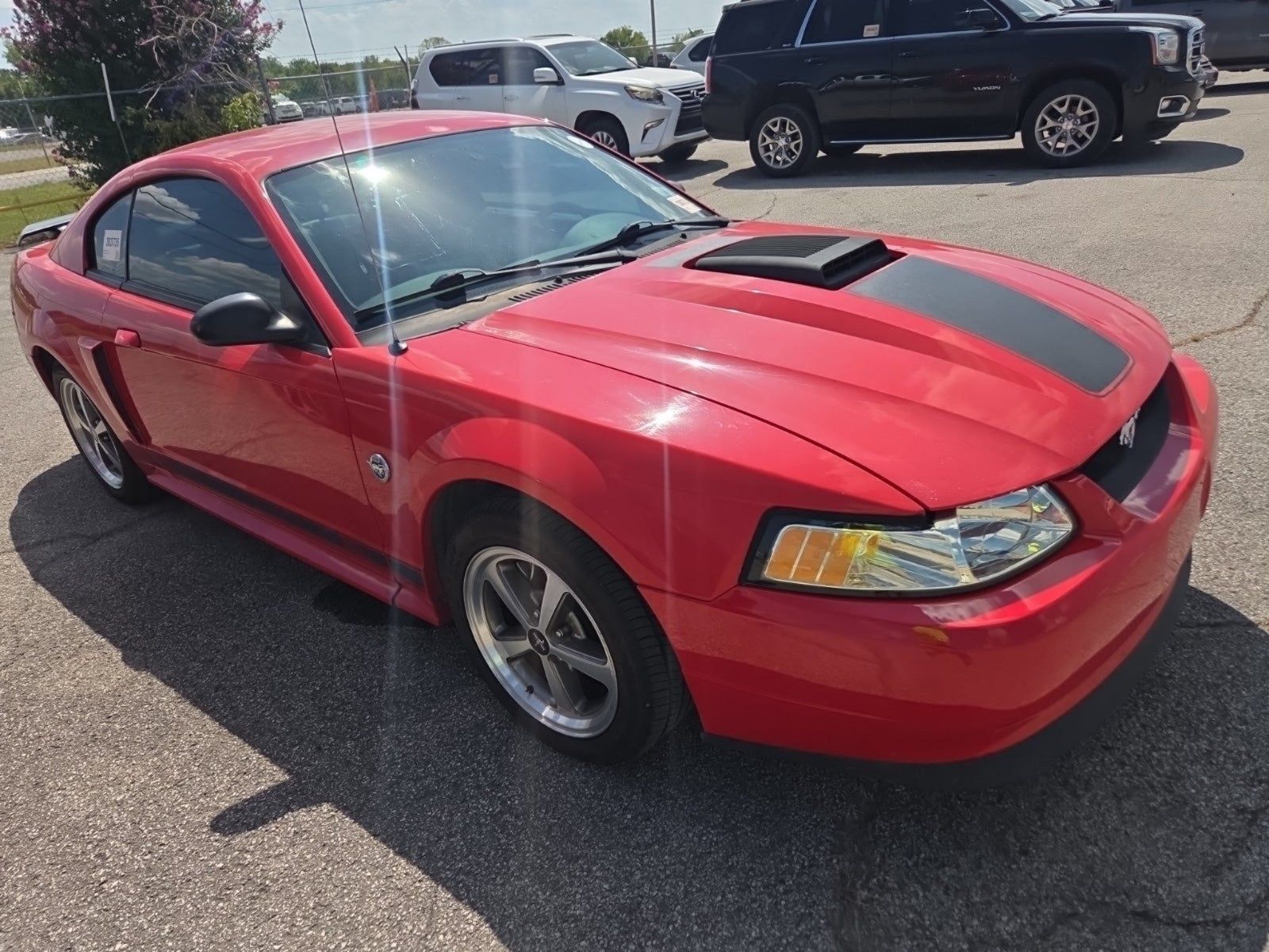 Used 2004 Ford Mustang Mach 1 RWD image 3