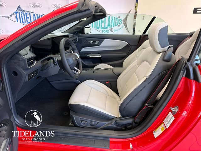 New 2026 Ford Mustang Premium w/ Mustang Nite Pony Package RWD image 11