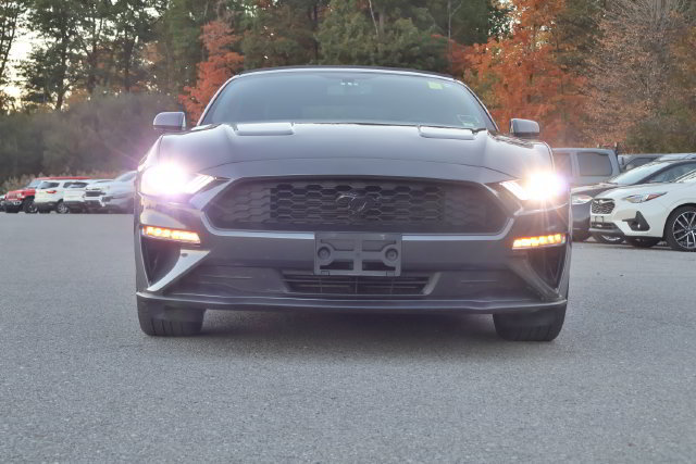 Used 2019 Ford Mustang Convertible w/ Equipment Group 101A RWD image 8