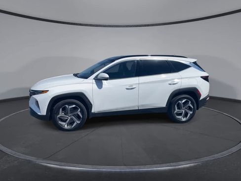 Used 2023 Hyundai Tucson Limited w/ Cargo Package AWD/4WD image 6