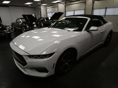 Used 2024 Ford Mustang Premium