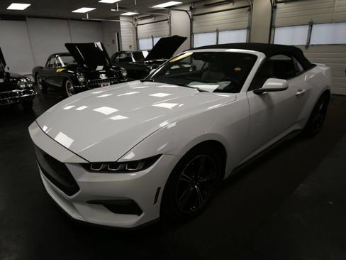 Used 2024 Ford Mustang Premium RWD image 3