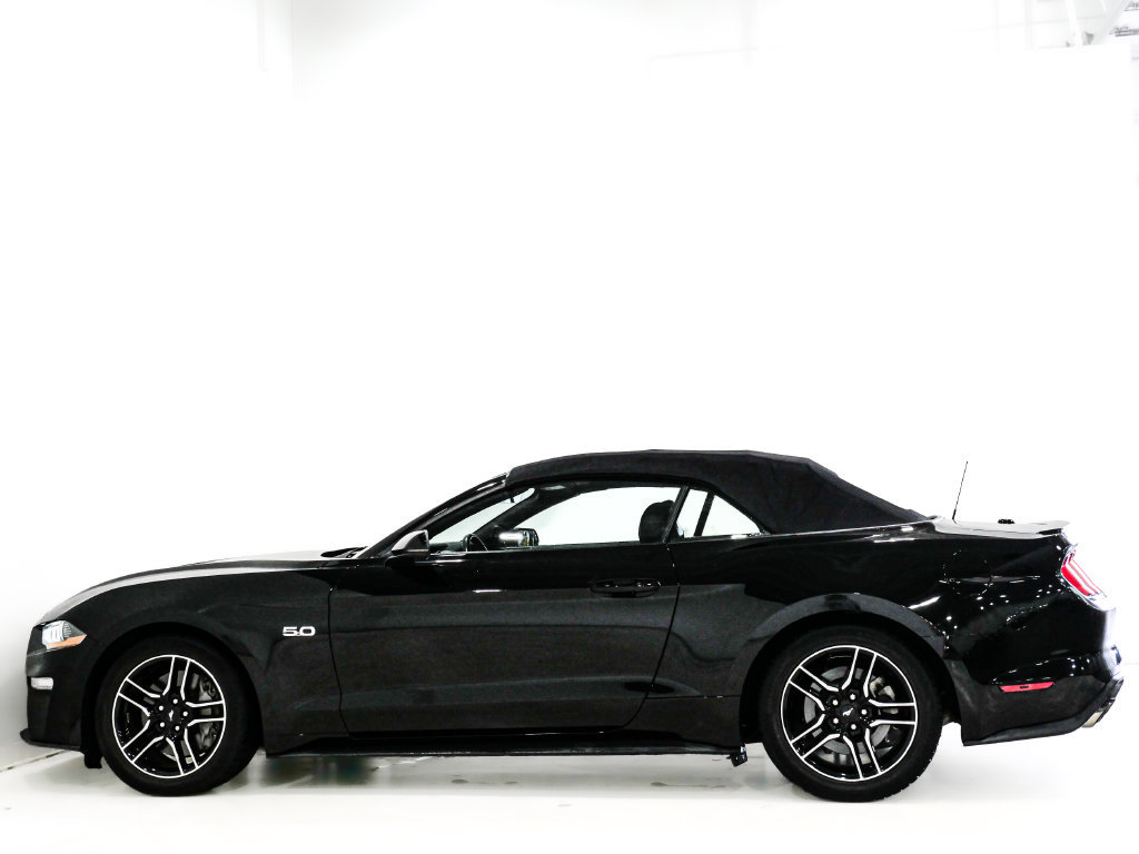 Used 2022 Ford Mustang GT Premium w/ Equipment Group 401A RWD image 5