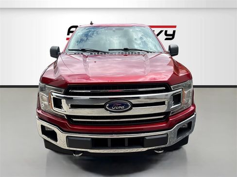 Used 2019 Ford F150 XLT w/ Equipment Group 302A Luxury image 2