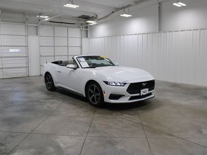 Used 2024 Ford Mustang Premium