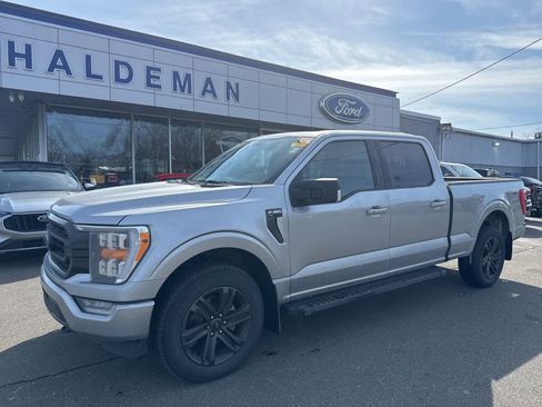 Used 2021 Ford F150 XLT w/ Equipment Group 302A High image 2