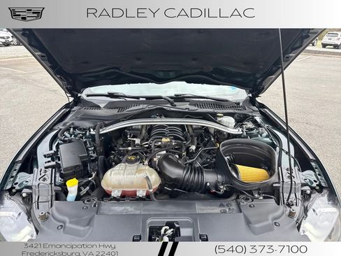 Used 2019 Ford Mustang Bullitt w/ Bullitt Electronics Package image 13