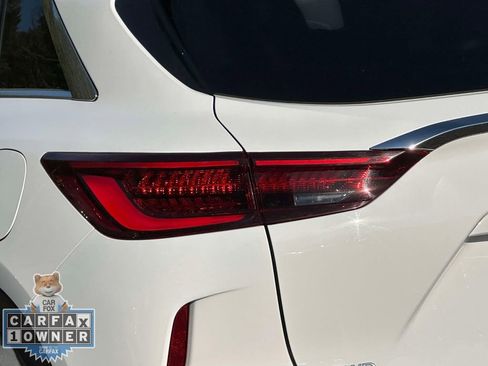 Used 2022 INFINITI QX50 Luxe w/ Cargo Package AWD/4WD image 13