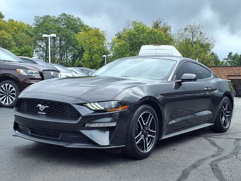 Used 2022 Ford Mustang Coupe w/ Equipment Group 101A image 2