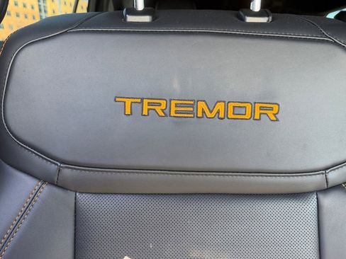 Used 2025 Ford Expedition Tremor AWD/4WD image 18