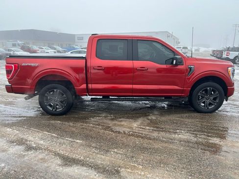 Used 2023 Ford F150 XLT w/ Equipment Group 302A High image 8