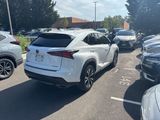 Used 2019 Lexus NX 300 F Sport w/ F Sport Comfort Package image 5