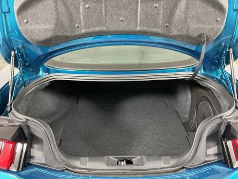 New 2026 Ford Mustang Premium w/ Mustang Nite Pony Package image 24