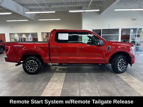 Used 2023 Ford F150 XLT w/ Equipment Group 302A High AWD/4WD image 14