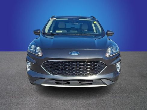 Used 2020 Ford Escape SEL FWD image 2